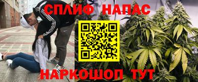 мяу мяу мука Апшеронск