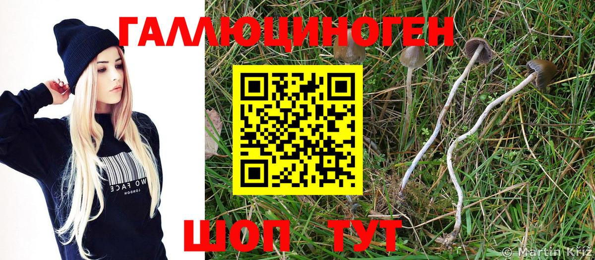Галлюциногенные грибы GOLDEN TEACHER Верхняя Пышма