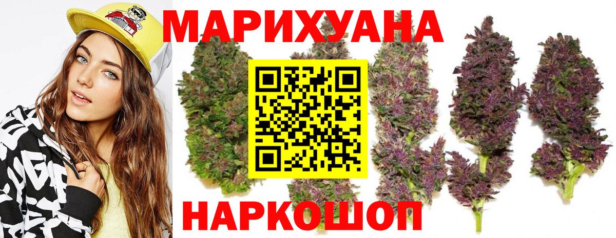 Конопля марихуана  Каннабис сатива  МАРИХУАНА семена  Вход с VPN  Верхняя Пышма  Канабис White Widow 